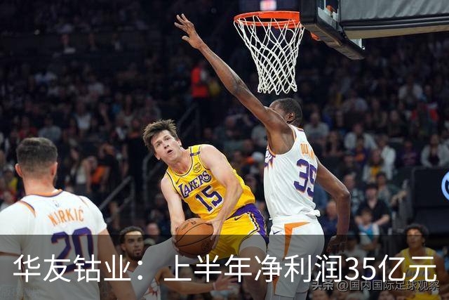 华友钴业：上半年净利润35亿元