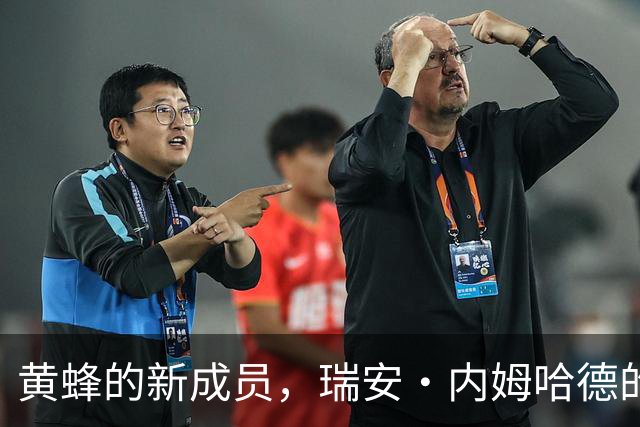 黄蜂的新成员，瑞安·内姆哈德的“短暂假期